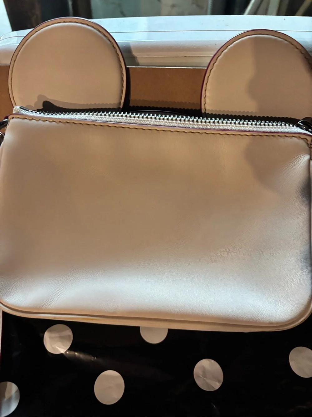 Coach compact crossbody